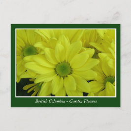 Postal flores de jardín BC