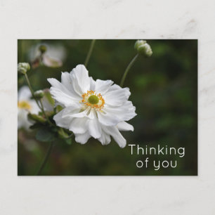 Postal Flores de jardín de anémonas blancas pensando en t