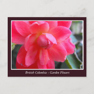 Postal flores de jardín de BC