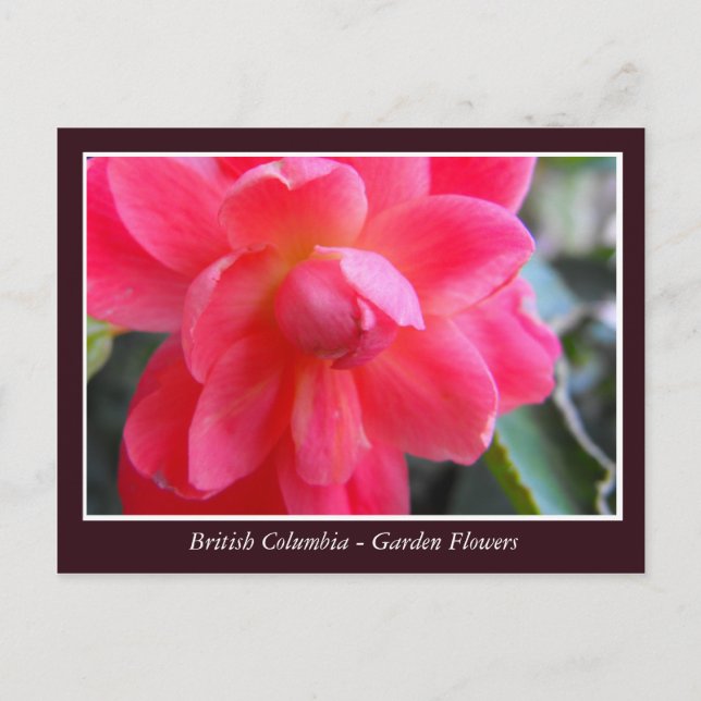 Postal flores de jardín de BC (Anverso)