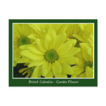 flores de jardín de BC