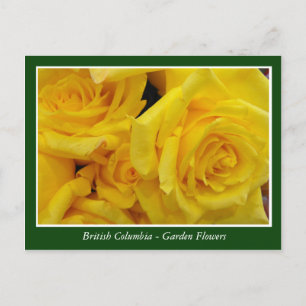 Postal flores de jardín de BC