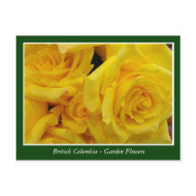 flores de jardín de BC