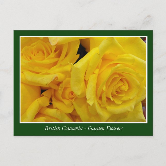 Postal flores de jardín de BC (Anverso)