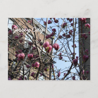 Postal Flores de Jersey