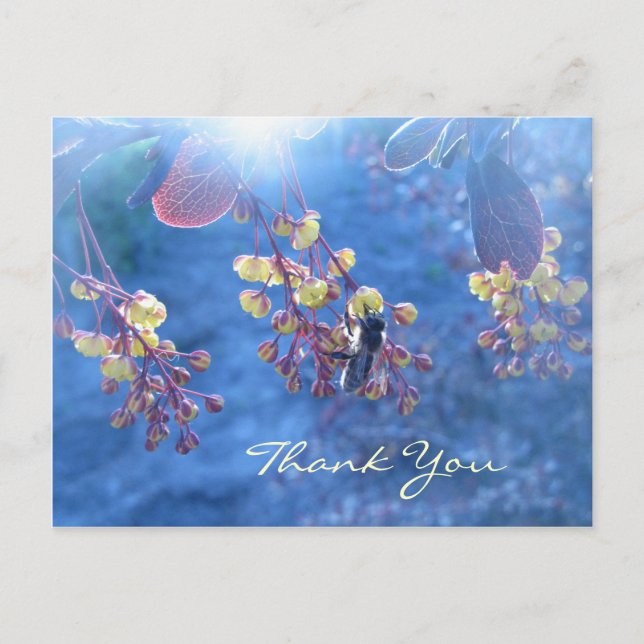 Postal Flores de la abeja y del Berberis (Anverso)