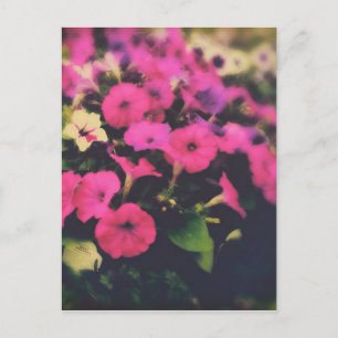 Postal Flores de la tienda de comestibles