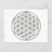 FLORES DE LA VIDA - plata