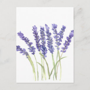 Postal Flores de lavanda