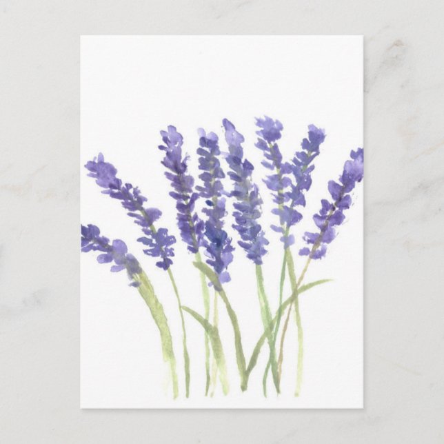 Postal Flores de lavanda (Anverso)