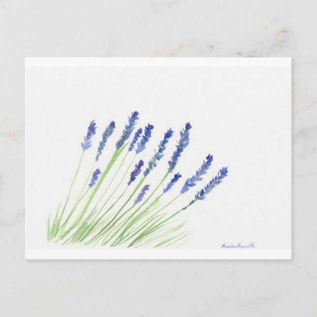 Postal Flores de lavanda (Anverso)