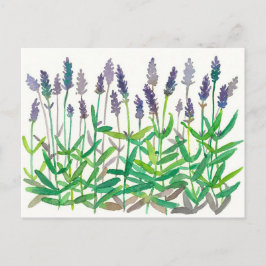 Postal Flores de lavanda Pintura de color de agua Arte de