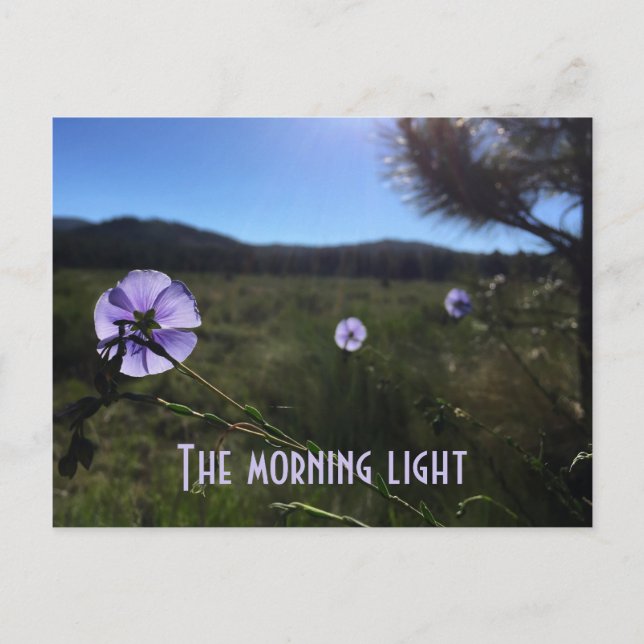 Postal Flores de Lino Azul de Pradera Escénica Te Extraña (Anverso)