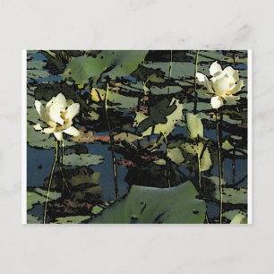 Postal Flores de lirio de agua