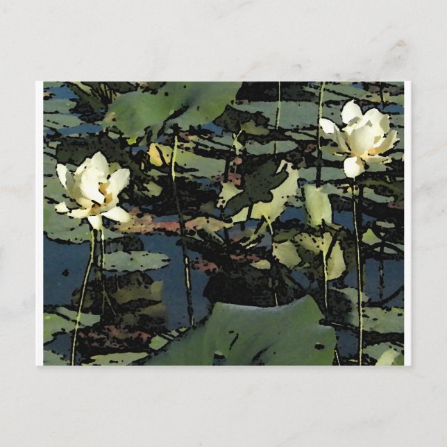 Postal Flores de lirio de agua (Anverso)