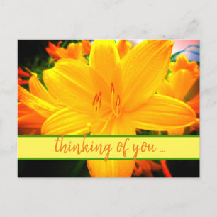 Postal Flores de Lirio de Día Amarillo Naranja Pensando e