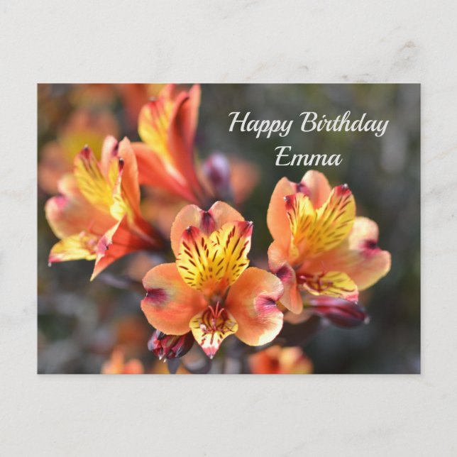 Postal Flores de lirio peruana en el jardín RHS Wisley (Anverso)