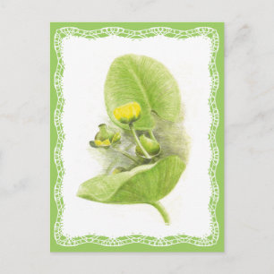 Postal Flores de lirios