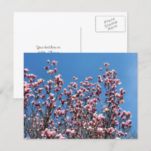 Postal Flores de Magnolia Cielo Azul Personalizado