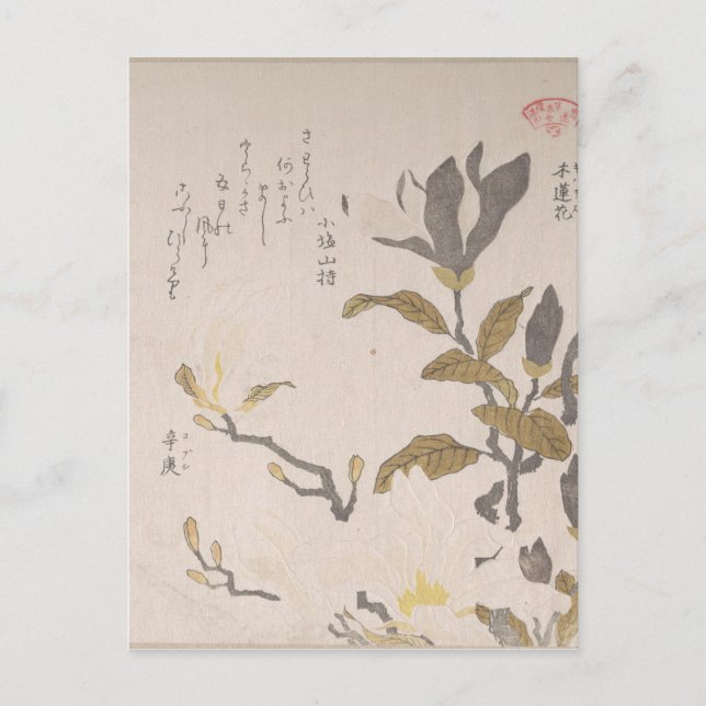 Postal Flores de Magnolia - Kubo Shunman (Japonés) (Anverso)