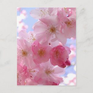 Postal flores de manzana