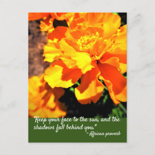 Postal Flores de Marigolds Naranja Brillante Frase Inspir