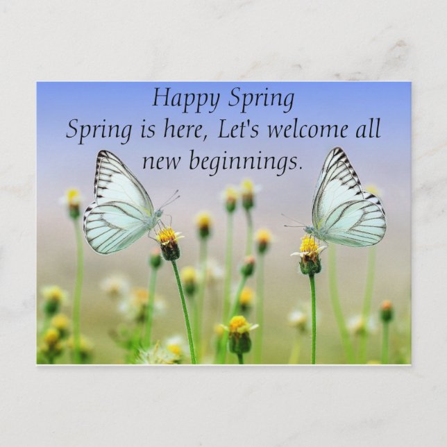 Postal Flores de mariposas (Anverso)