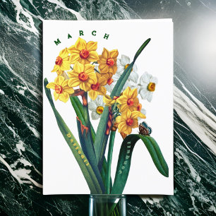 Postal Flores de marzo Jonquil Narciso