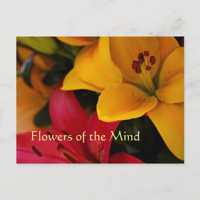 Postal Flores de mercado II (Anverso)