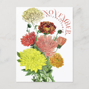 Postal Flores de Mes Novermber Chrysanthemum Fancy Postca