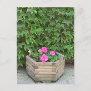 Postal Flores de Monet