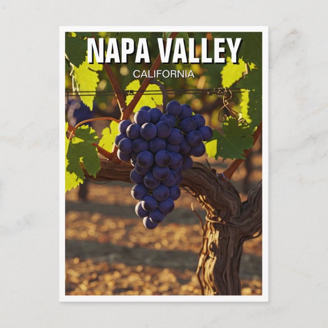 Postal Flores de mostaza de Napa Valley California (Anverso)