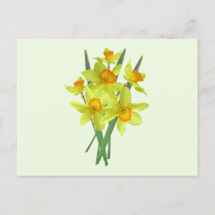 Postal Flores de Narciso Amarillo