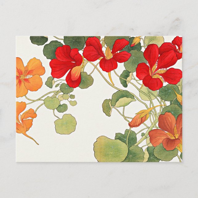 Postal Flores de nasturcio coloridas (Anverso)