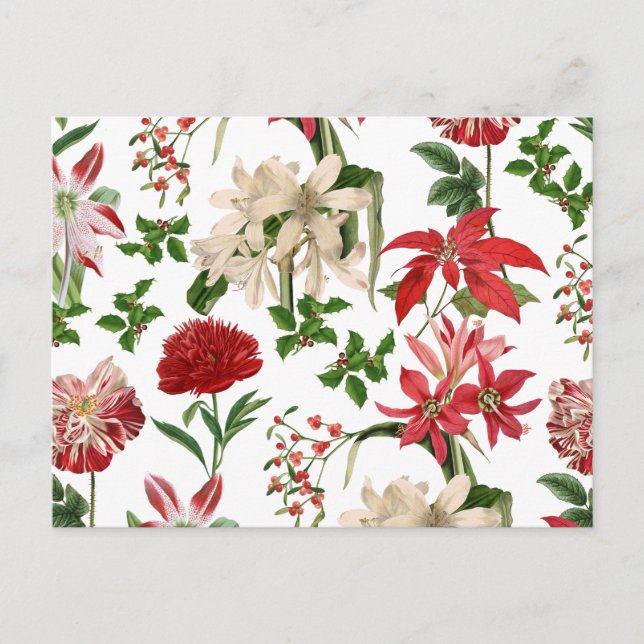 Postal Flores de Navidad modernas y antiguas (Anverso)