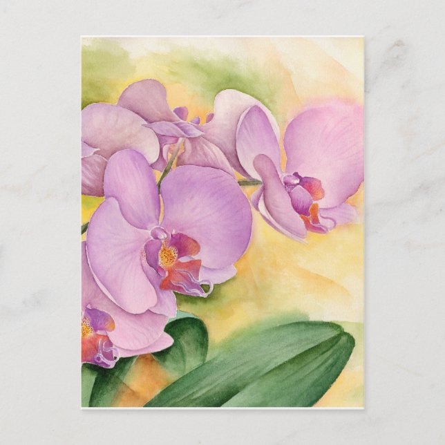 Postal Flores de orquídeas de lavanda rosa falaenopsis (Anverso)