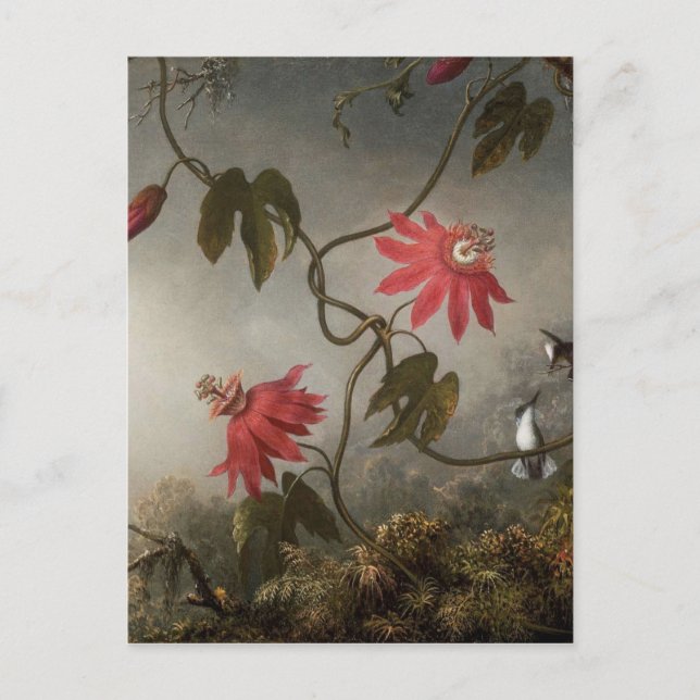 Postal Flores de pasión con colibríes por Martin Johnso (Anverso)