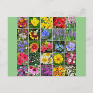 Postal Flores de patrimonio - Estados Unidos