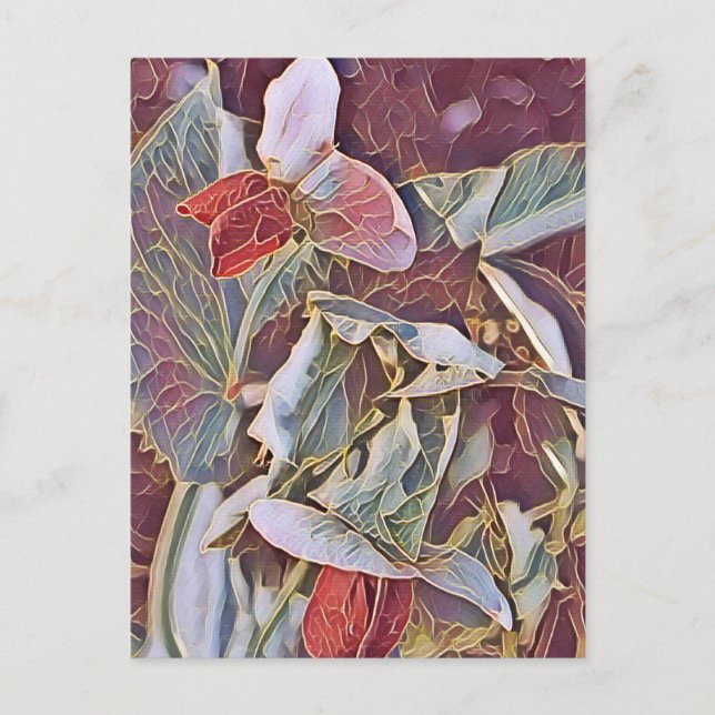 POSTAL FLORES DE PEA DULCE (Anverso)