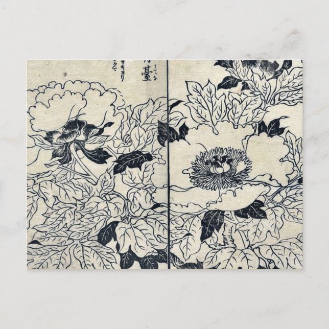 Postal Flores de peones por Tachibana, Yasukuni Ukiyoe (Anverso)