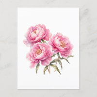 Flores de peonía rosadas acuarela
