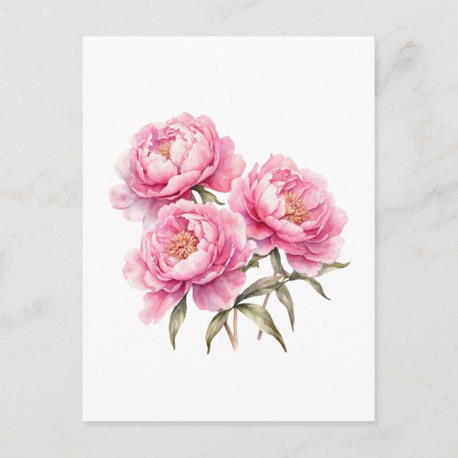 Postal Flores de peonía rosadas acuarela (Anverso)