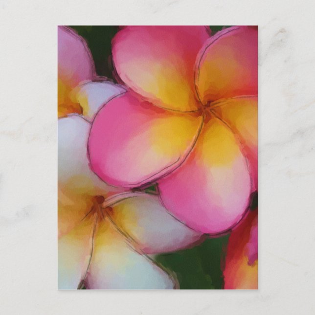 Postal Flores de plumeria rosada frangipani (Anverso)