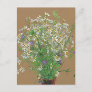 Postal Flores de prados, pintura pastel, margaritas blanc