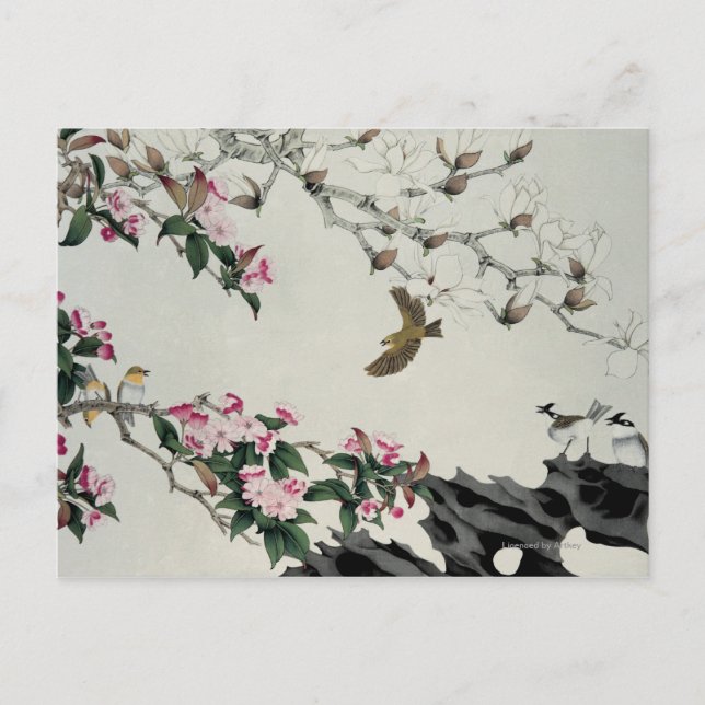 Postal Flores de primavera (Anverso)