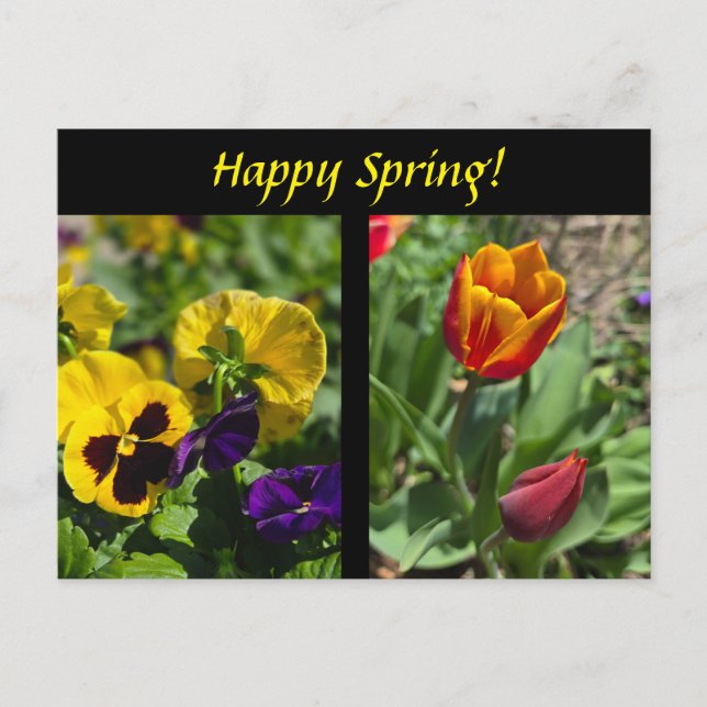 Postal Flores de primavera (Anverso)
