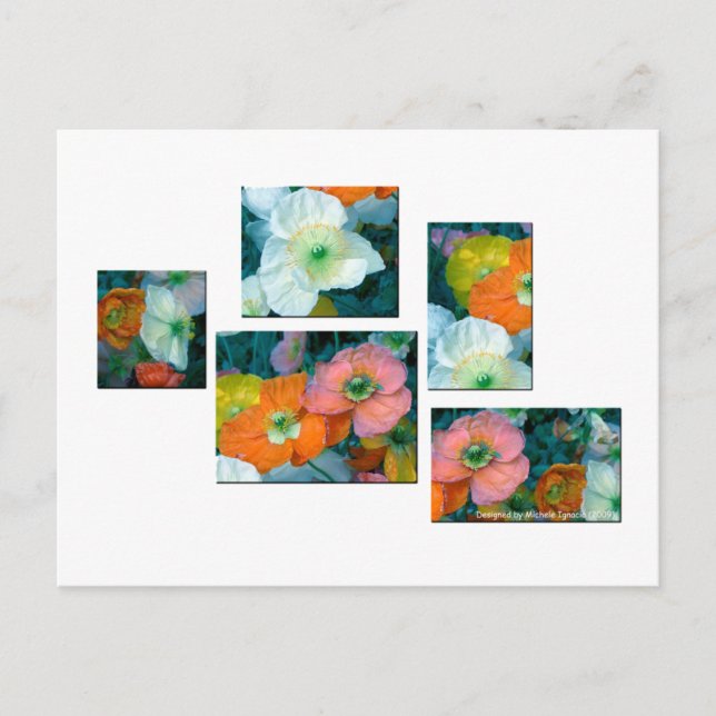 Postal Flores de primavera (Anverso)