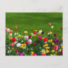 Postal Flores de primavera