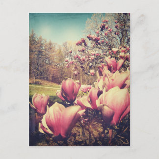 Postal Flores de primavera