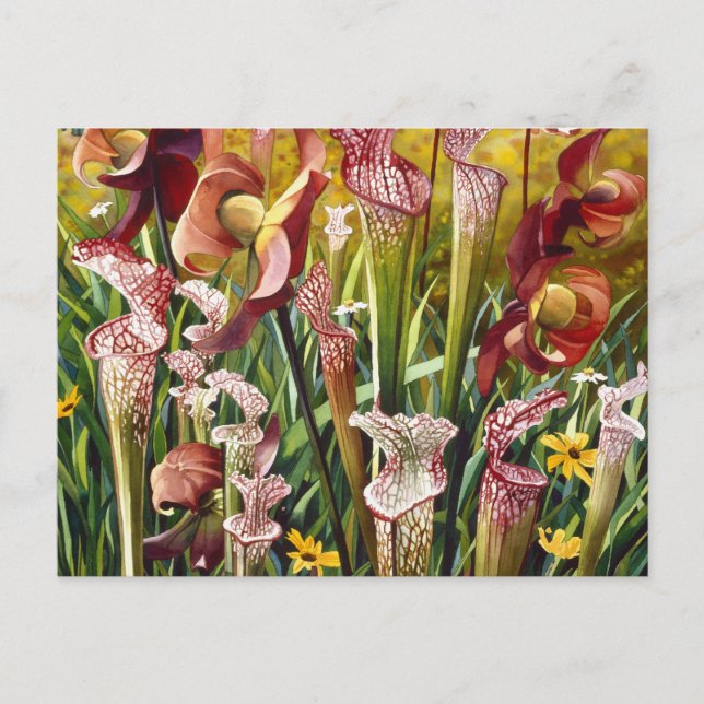 Postal Flores de primavera: acuarela floral (Anverso)